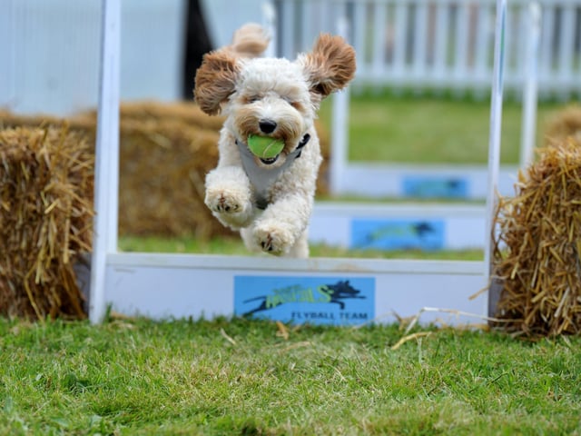 Saturday at Goodwoof 2023. Pic S Robards SR2305201