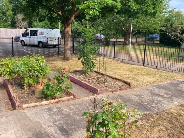 After the Paul Wicks Garden Services free job