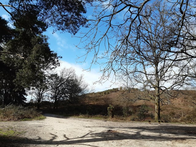 Ahead is a bench, a good stop from a coffee. You want that path to the left of the bench, so turning left after the steps or straight on if you've come from Sandgate Park.
