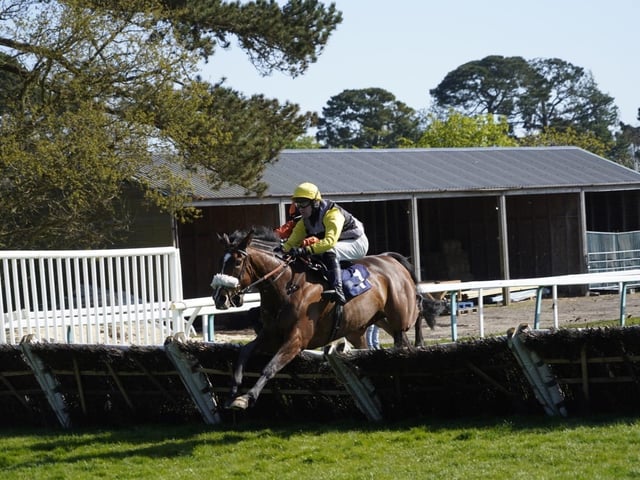April jump racing at sunny Fontwell Park
