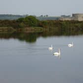 Castle Water at Rye Harbour Nature Reserve
