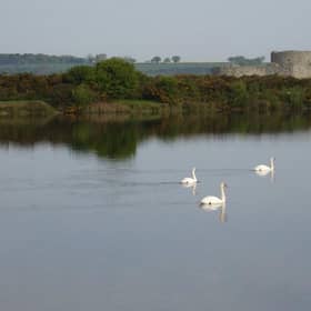 Castle Water at Rye Harbour Nature Reserve