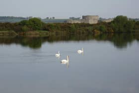 Castle Water at Rye Harbour Nature Reserve