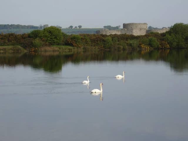 Castle Water at Rye Harbour Nature Reserve