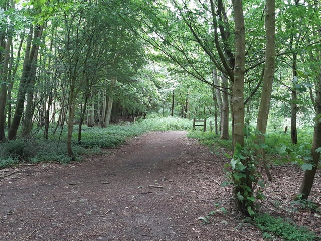 Continue until you come to a wooden post marked US 12. Turn right here to go through an opening and follow the path round
