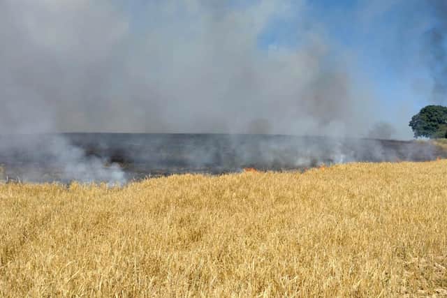West Sussex Fire & Rescue Service said approximately 40 acres of grassland has been destroyed by one of the fires.