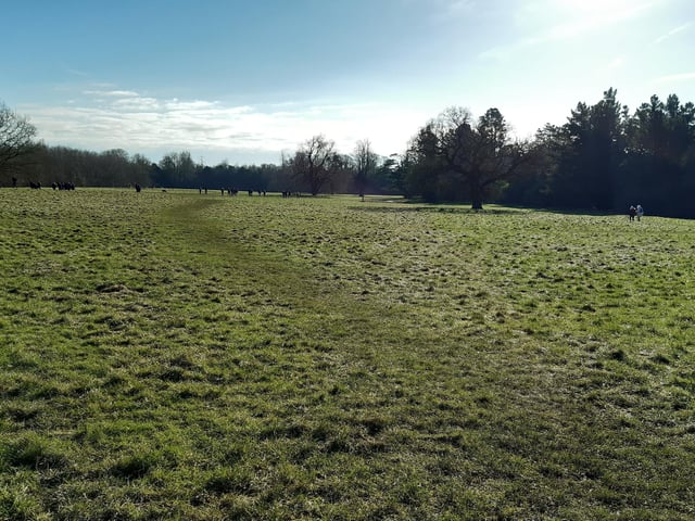 ...or, follow the clear path across the grass (this is the way I chose)