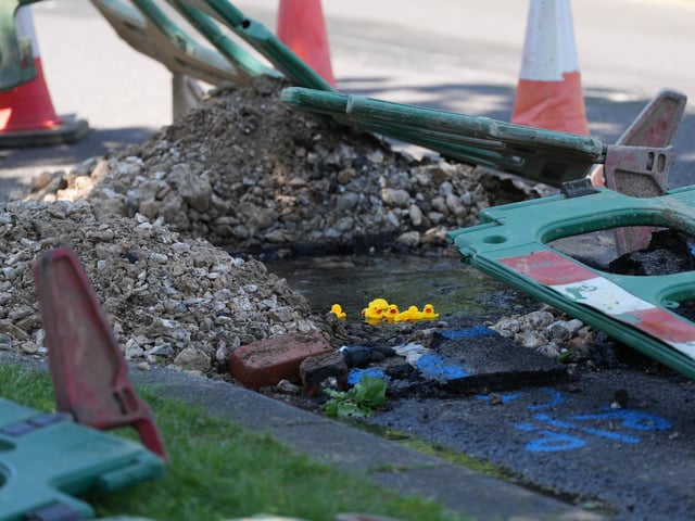 A Worthing resident put rubber ducks into a pond created by a water leak in Worthing
