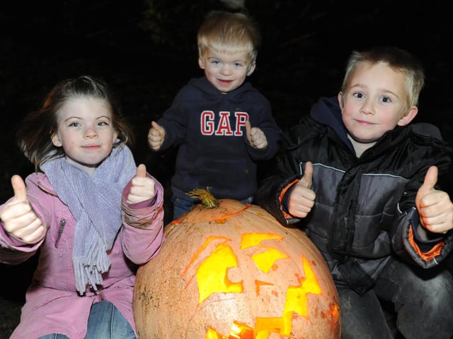 Cuckfield Bonfire Night 2008. Chloe, Riley and Ross Brown enjoy the fun.