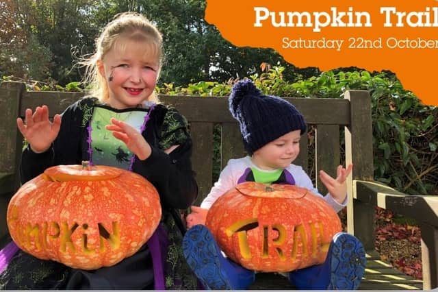 Children can enjoy spooky fun following the Pumpkin Trail in the grounds of St Michael's Hospice, Upper Maze Hill, St Leonards, on Saturday October 22 from 10am - noon.
Discover the name of the witch's cat to be in with a chance of winning an award. Admission is £3.50 children and £1.50 adults, refreshments included.