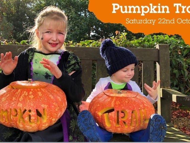 Children can enjoy spooky fun following the Pumpkin Trail in the grounds of St Michael's Hospice, Upper Maze Hill, St Leonards, on Saturday October 22 from 10am - noon.
Discover the name of the witch's cat to be in with a chance of winning an award. Admission is £3.50 children and £1.50 adults, refreshments included.