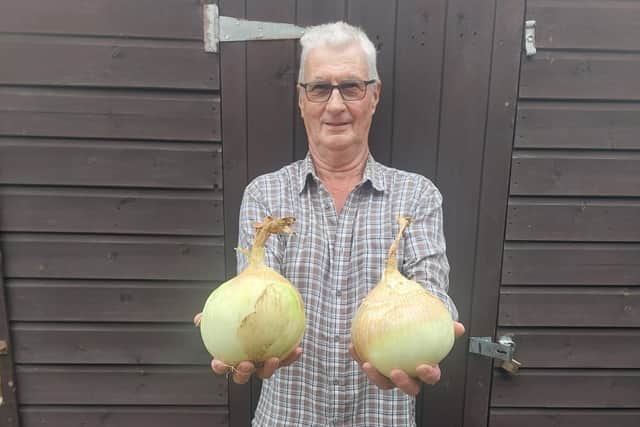 Bill Cable with his home-grown giant onions. Photo contributed