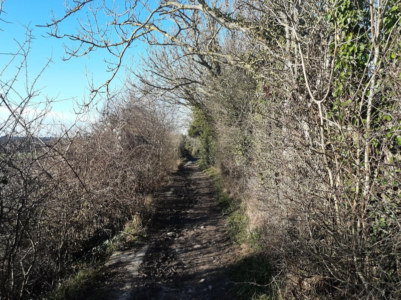 We are going to make our way along this footpath to Angmering.