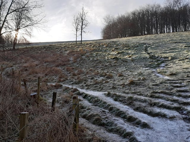 Now, there is a path straight up the hill but it is very steep so we will follow the path to the left, heading towards a fence.