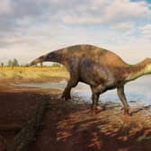 A reconstruction of the iguanodontian dinosaur Paludohadros proudlovii walking through mud along the edge of a shallow body of water. In the distance, the large predatory dinosaur Baryonyx can be seen. Picture courtesy of Guilherme Gehr/Natural History Museum