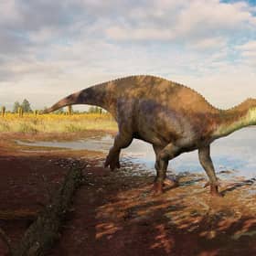 A reconstruction of the iguanodontian dinosaur Paludohadros proudlovii walking through mud along the edge of a shallow body of water. In the distance, the large predatory dinosaur Baryonyx can be seen. Picture courtesy of Guilherme Gehr/Natural History Museum