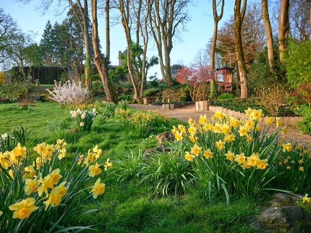 The Old Vicarage