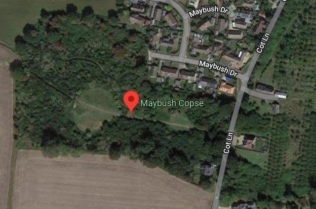 Maybush Copse, Cot Lane, Chidham, West Sussex. Nominated by Chichester Harbour Conservancy as a Dark Sky Discover Site and open for stargazing at all times. Limited parking.