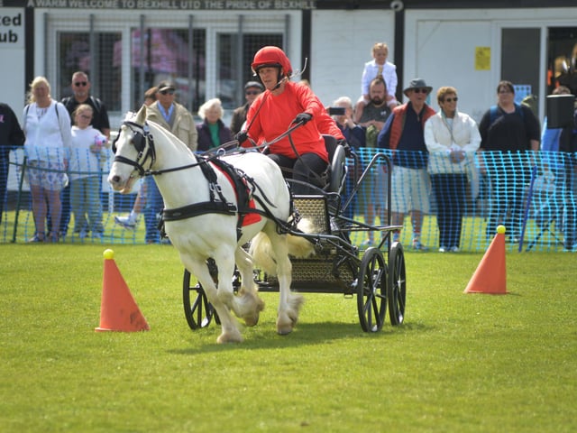 Bexhill Horse & Dog Show 2024.
