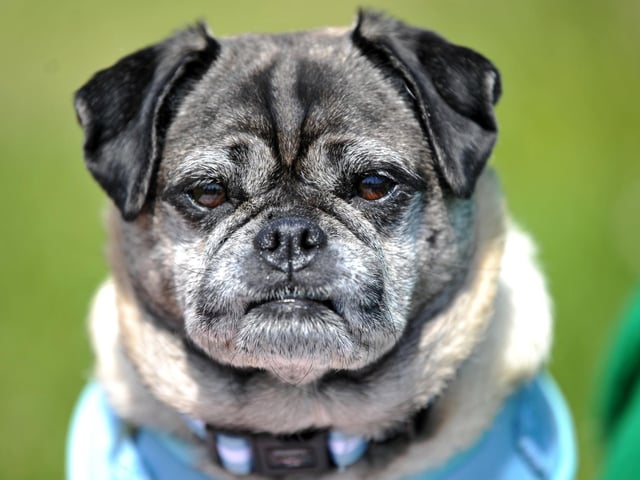 Saturday at Goodwoof 2023. Pic S Robards SR2305201
