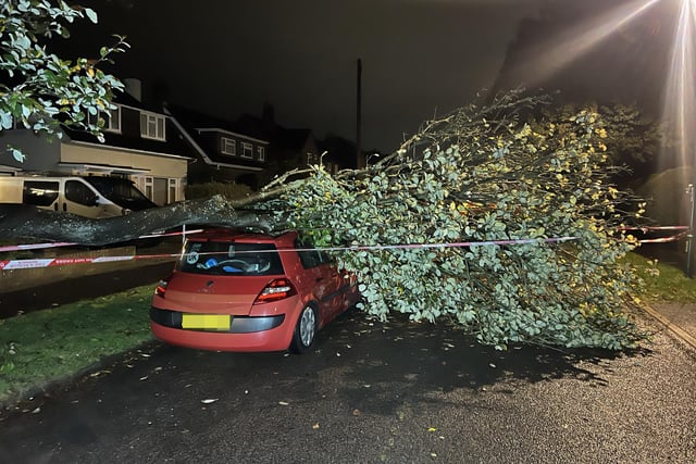Tree branch on a car in Littlehampton.