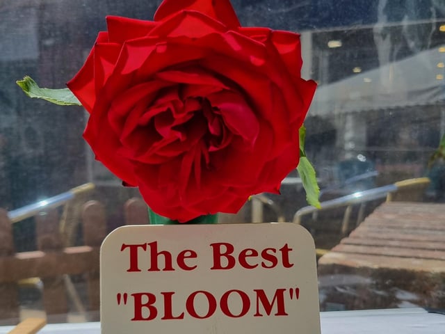 The Len Wyles Memorial Trophy went to Sylvia Harris for the Best Bloom in Rose Classes 8-14
