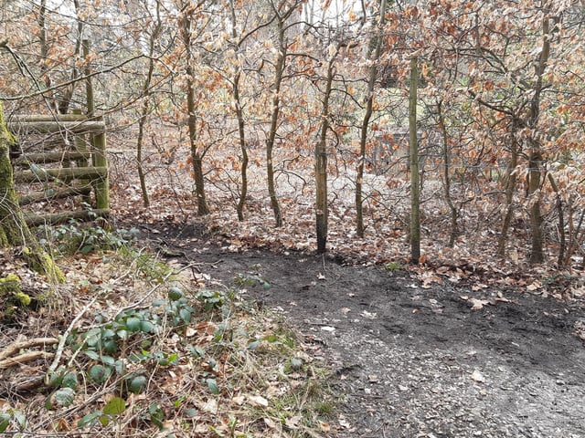 You will find yourself at another exit point for the park but turn right and follow the line of the fence back to the river