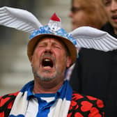 BRIGHTON, ENGLAND - MARCH 19: A Brighton & Hove Albion fan shows their support by wearing a seagull hat during the Emirates FA Cup Quarter Final match between Brighton & Hove Albion and Grimsby Town at Amex Stadium on March 19, 2023 in Brighton, England. (Photo by Mike Hewitt/Getty Images)