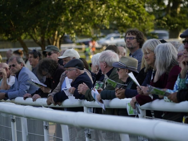 Evening racing at Fontwell Park, June 2025