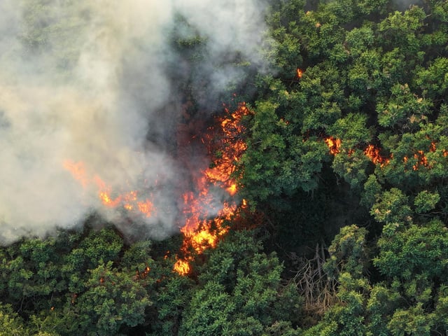 Fire crews worked ‘throughout the night’ to bring a wildfire under control at a beauty spot in Sussex.