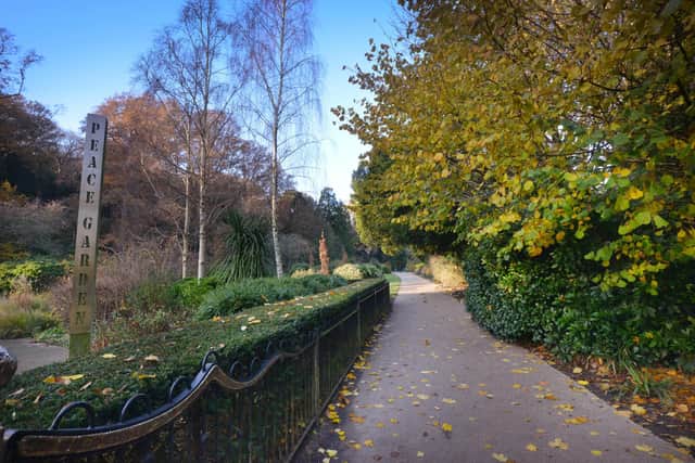 "Alexandra Park has been a haven of peace and recreation, especially for people with young children, dog walkers, and many people with disabilities – including people hard of hearing or partially sighted."