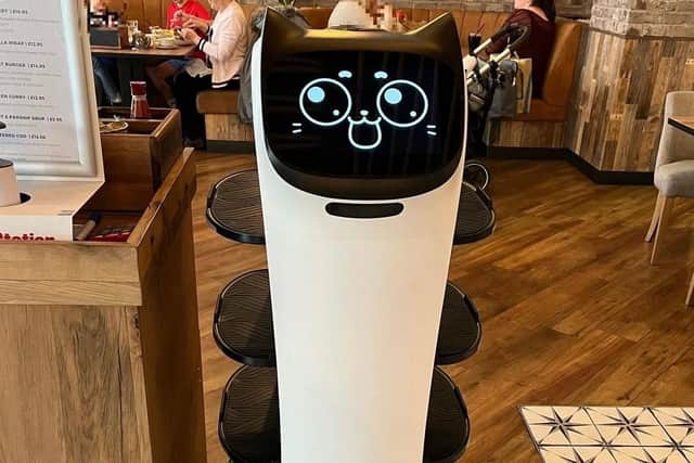 BellaBot at Taylor's Restaurant and Sports Bar in Eastbourne