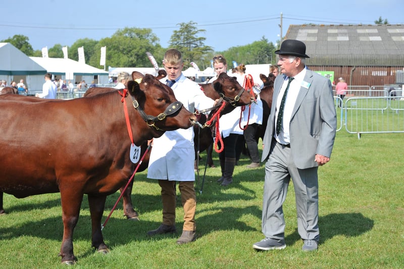 Day one of the South of England Show 2023