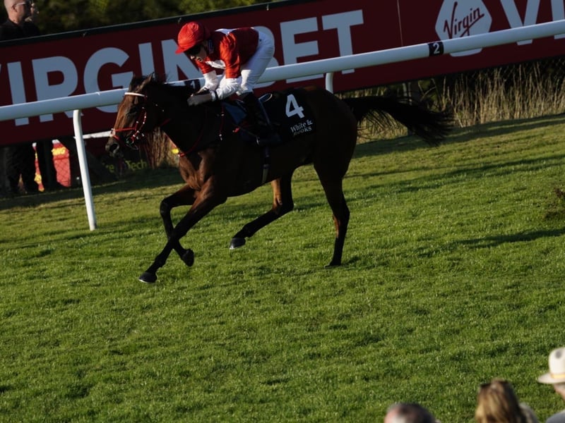 Friday evening racing kicks off bank holiday weekend at Goodwood