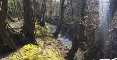 Ifield Brook Valley