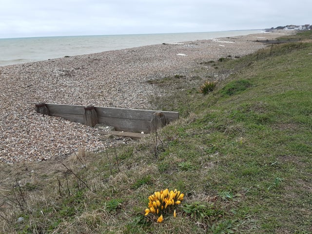 You will see views over to Littlehampton as you walk and you can enjoy the sound of the sea