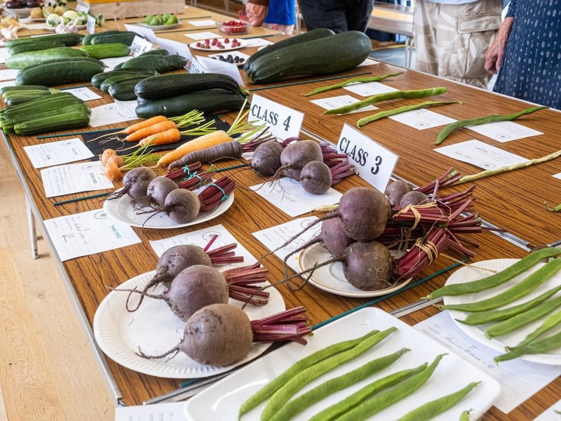 Vegetables at the East Preston and Kingston Horticultural Society’s annual flower show
