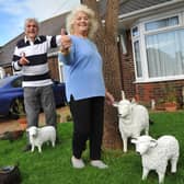 Jackie and Charlie's Chia sheep were returned to their home in Worthing but have since been stolen again. Photo: Steve Robards SR2211012
