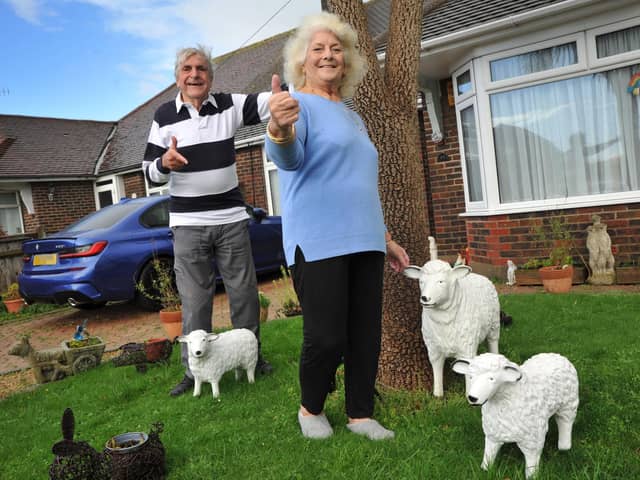 Jackie and Charlie's Chia sheep were returned to their home in Worthing but have since been stolen again. Photo: Steve Robards SR2211012