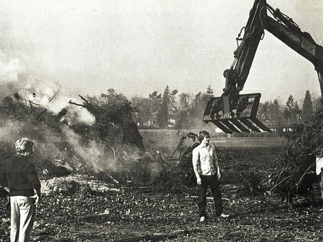 The clean-up at Lindfield Common