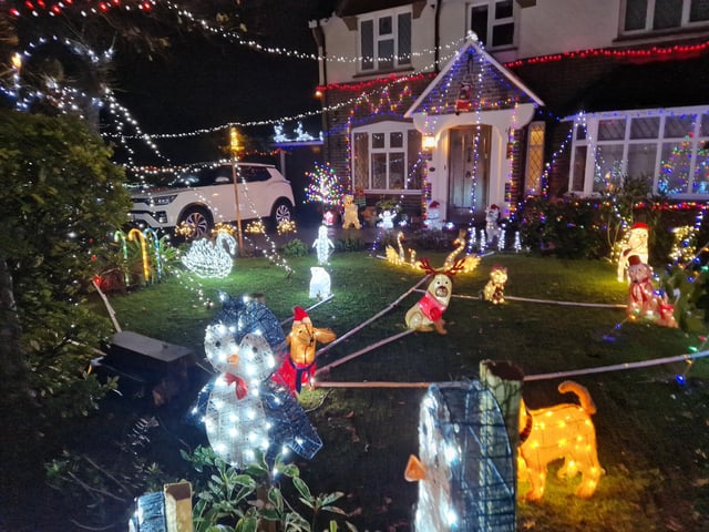 The animal-themed Christmas lights display at 22 Gorse Avenue, Worthing, has been put together by John Wollaston Landscapes and Property Maintenance to raise money for Wadars Animal Rescue Charity.