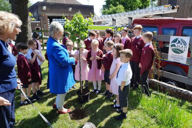 Heathfield Fire Station – tree planting ahead of the Heathfield Show in May 2022 – The Heathfield News