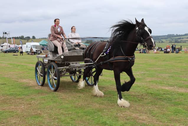 Rye and District Country Show