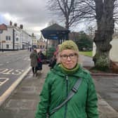 Cllr Sarah Sharp at a bus stop in West Street, Chichester