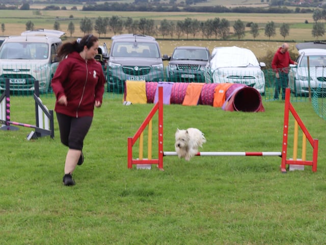 Rye and District Country Show