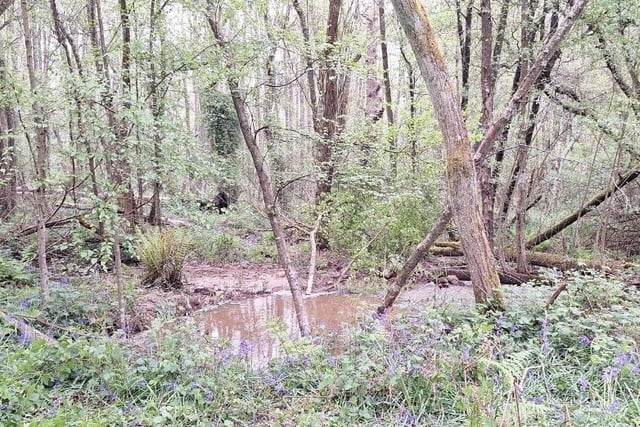 Location of burst watermain at Keepers Wood