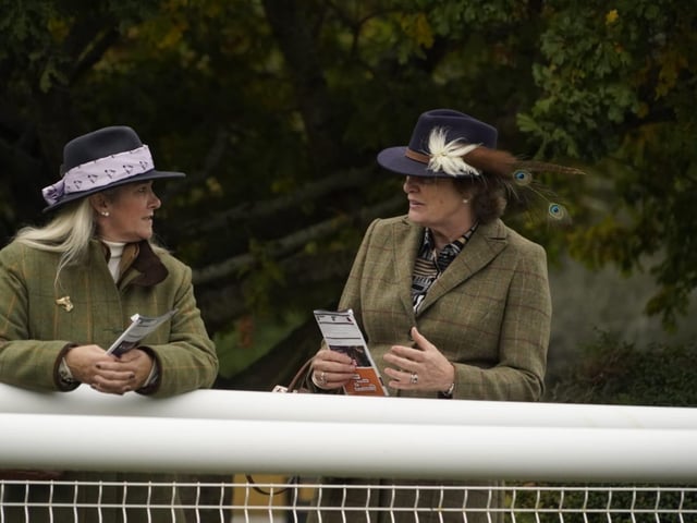 Fontwell Park jump racing action, October 2026