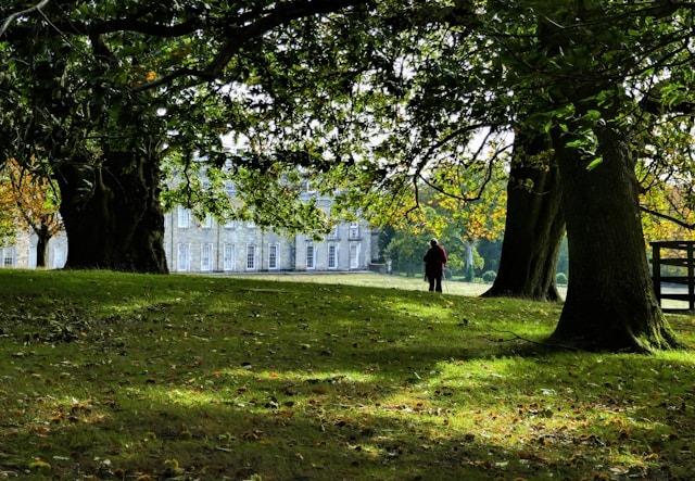 The most affordable local authorities in Sussex to own a property have been unveiled in a new study
