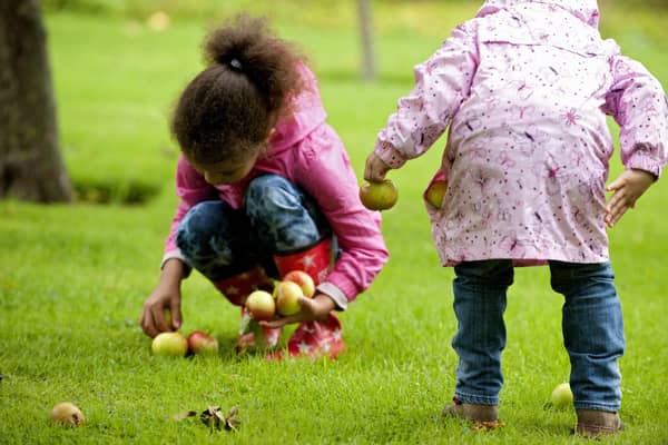 Children collecting apples in the garden at Bateman's, East Sussex.