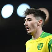 Chelsea midfielder Billy Gilmour struggled on his loan at Norwich last season and has been linked with a move to Premier League club Brighton